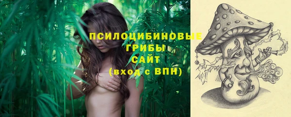 индика Верхнеуральск