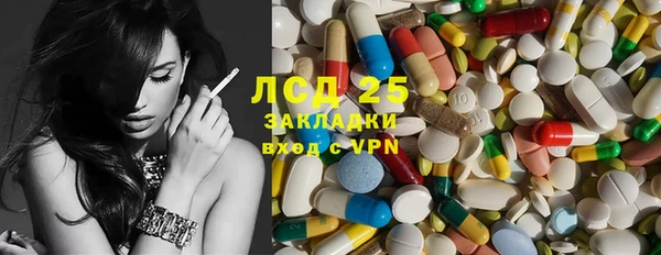 spice Богородск