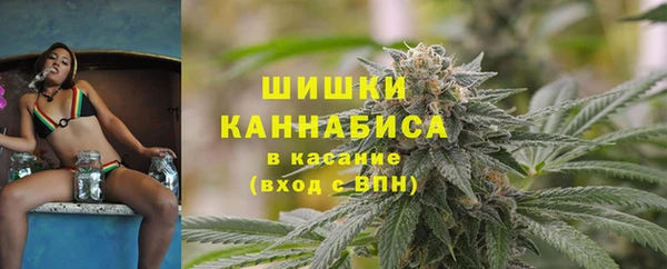 индика Верхнеуральск