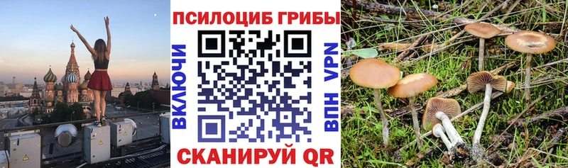 Псилоцибиновые грибы Magic Shrooms  Духовщина 